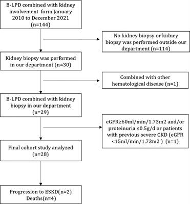 Clinicopathological features and individualized treatment of kidney involvement in B-cell lymphoproliferative disorder